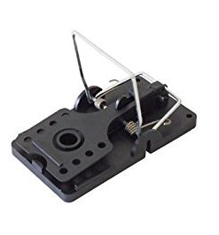 Schlagfalle Ratte KNESS Plastik