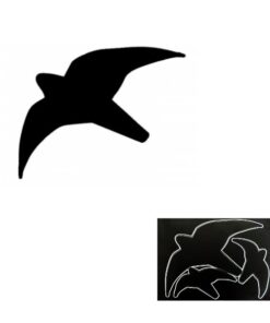 greifvogelsiluetten1