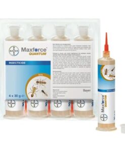 Alternative view of Maxforce® QUANTUM Ameisenköder