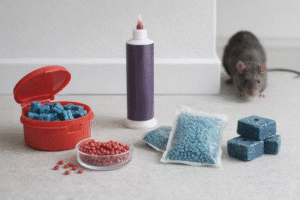 Rattengift im Test – die besten Mittel im Überblick